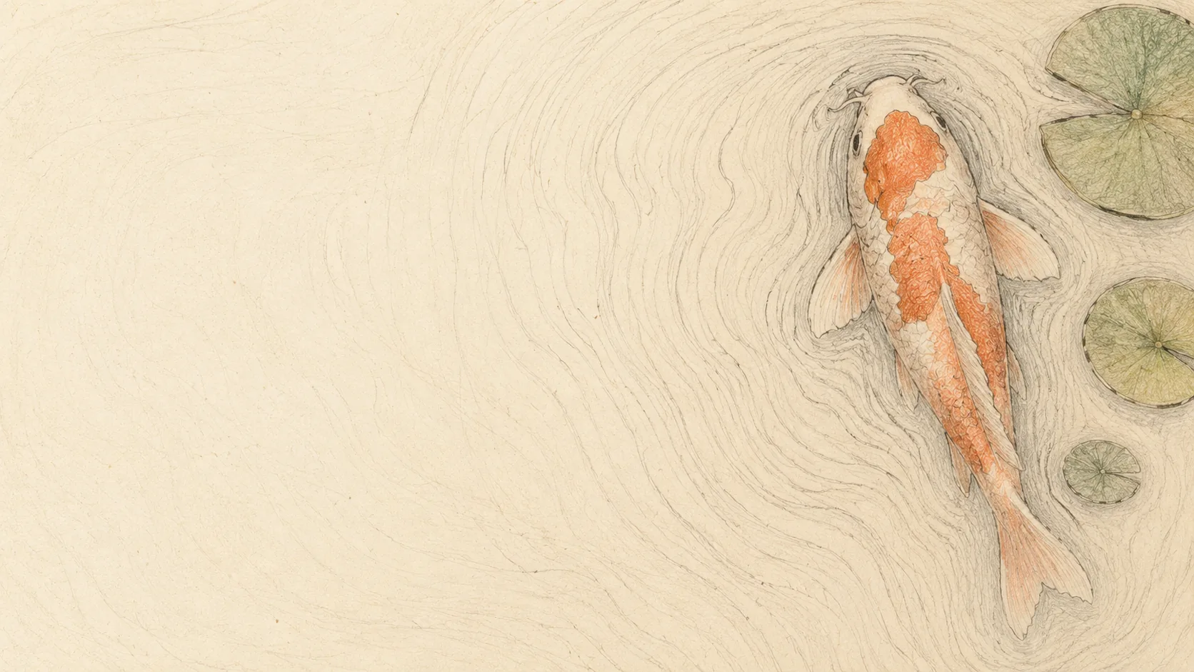 A koi turning in still water, drawn in coloured pencil, its wake spreading across the surface